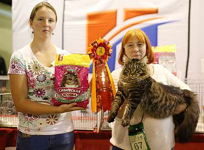 �������� ����� 20-21 �������� 2014 WCF-�����  6-67-169A2084 copy.jpg